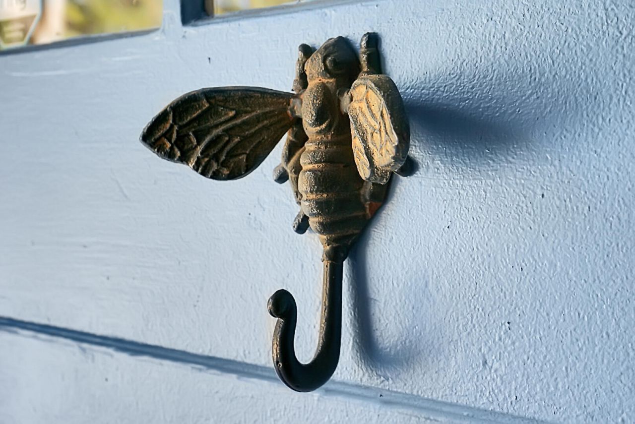 221 Brownlehe Street Photo 6