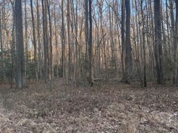 UPLAND DRIVE, BUSHWOOD, MD 20618