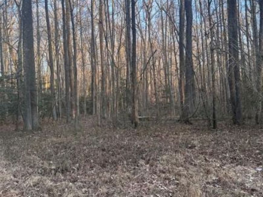 Upland Drive, Bushwood, MD 20618 Main Photo