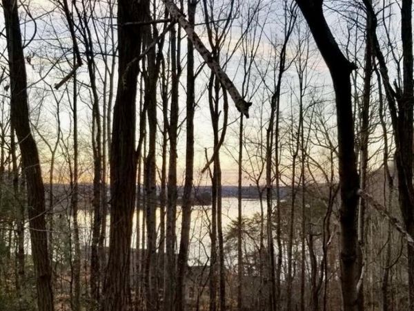 196 E Cove Drive, Greenback, TN 37742