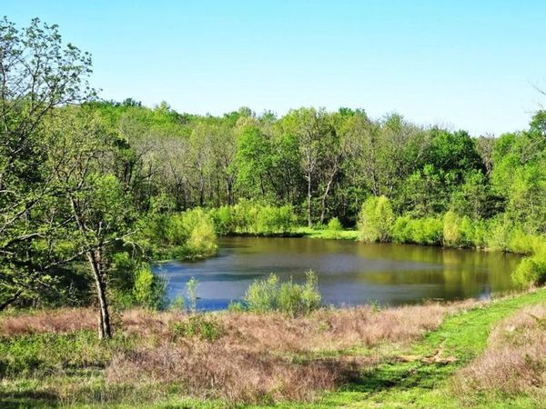 720 SW 800th Road, Chilhowee, MO 64733