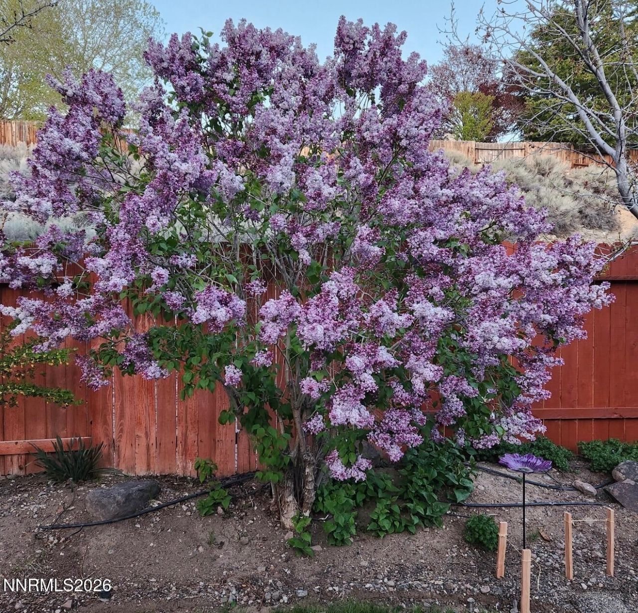 5216 Santa Barbara Avenue, Sparks, NV 89436 Photo