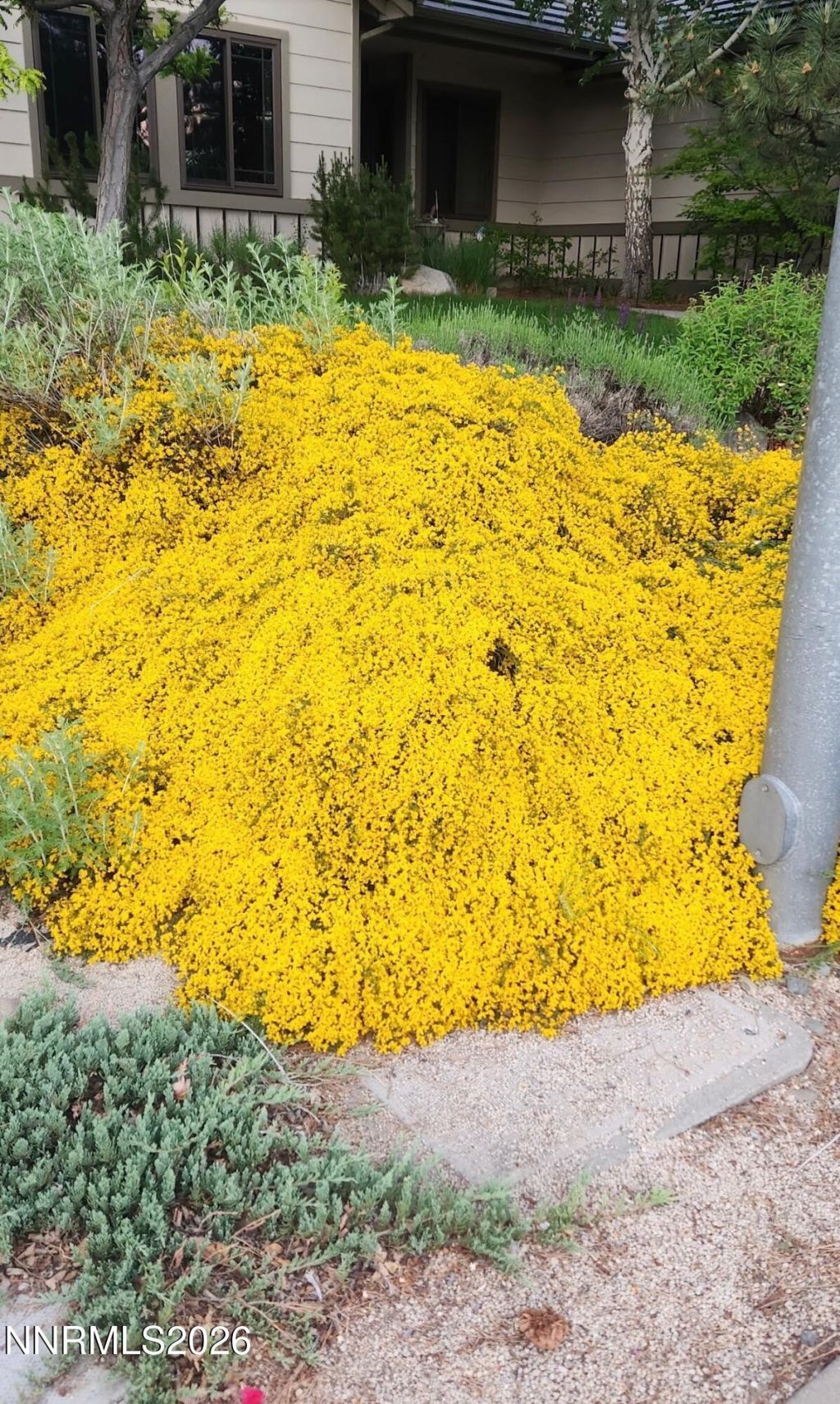 5216 Santa Barbara Avenue, Sparks, NV 89436 Photo