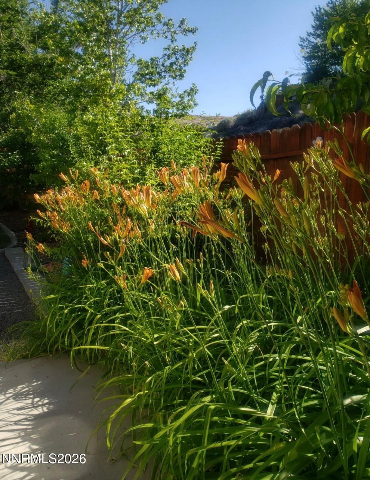 5216 Santa Barbara Avenue, Sparks, NV 89436 Photo