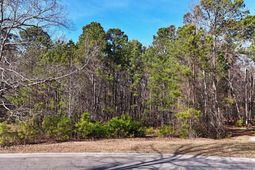 104 Fallen Leaf Drive  photo 4