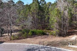 104 Fallen Leaf Drive  photo 4