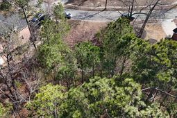 104 Fallen Leaf Drive  photo 4