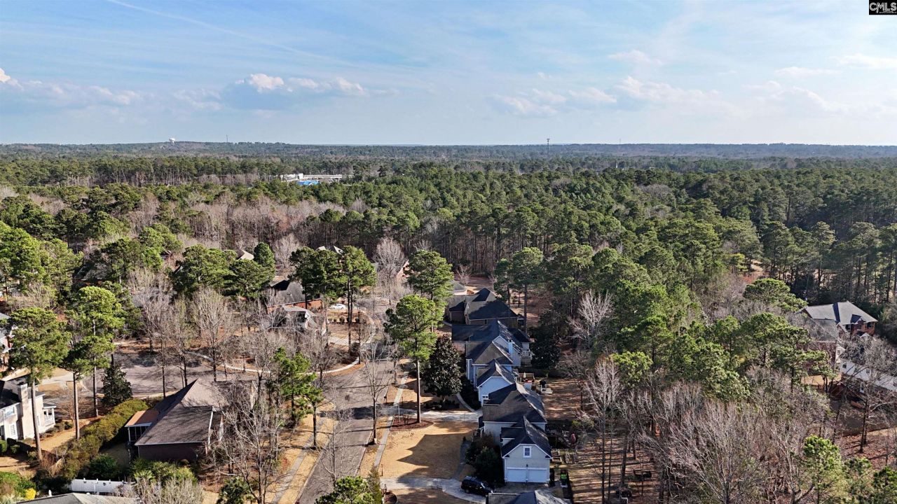 104 Fallen Leaf Drive  Photo 7