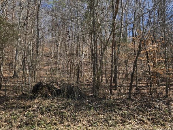 204 Archer Rd, Luttrell, TN 37779