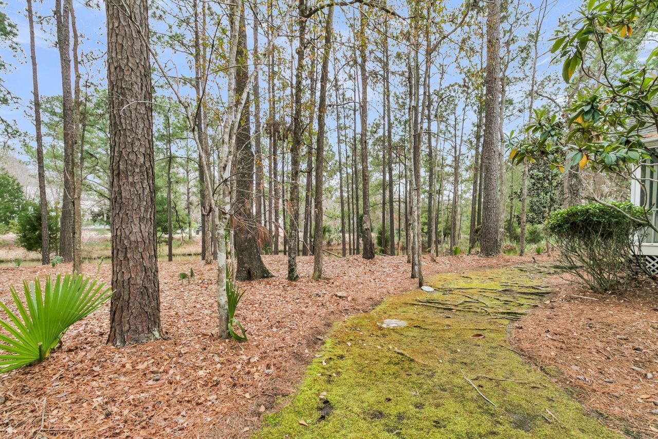 4409 Downing Place Way Photo 42