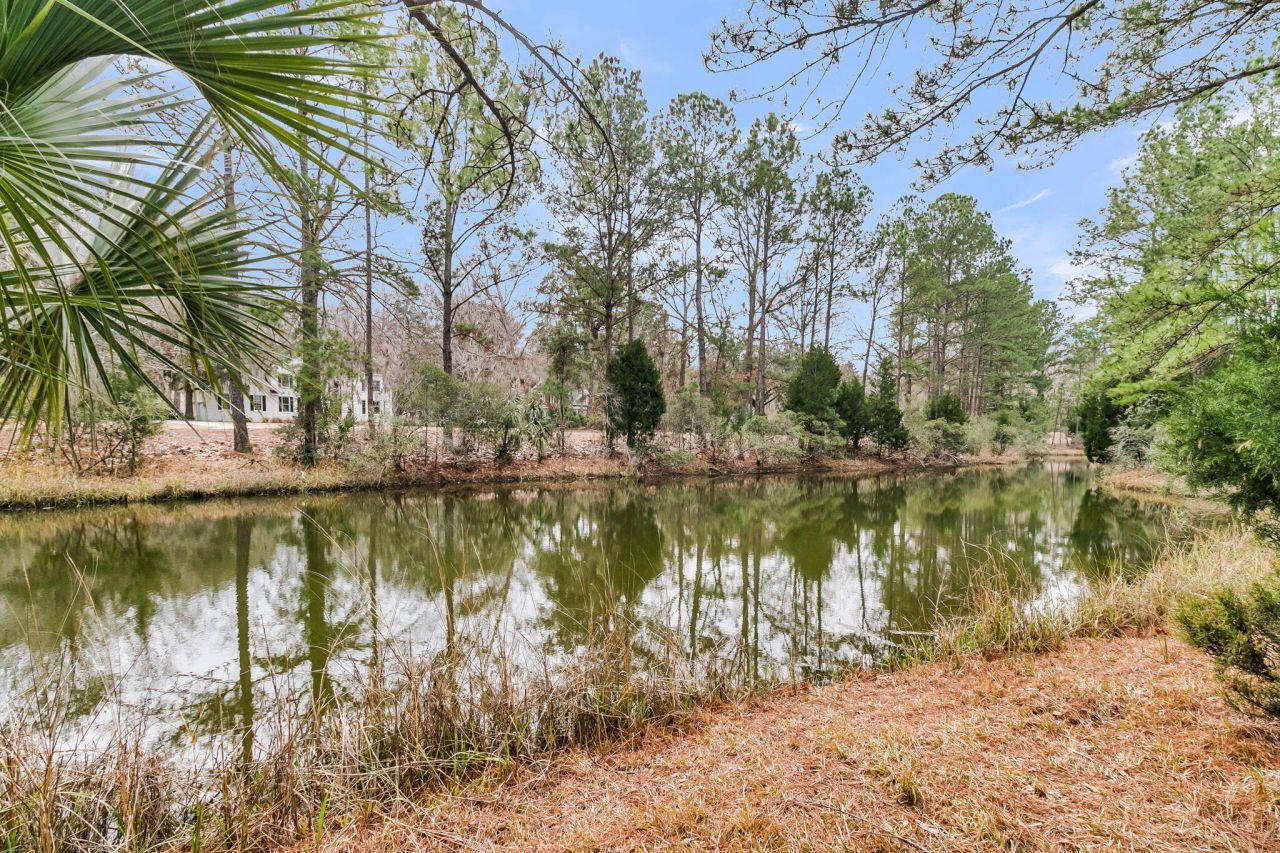 4409 Downing Place Way Photo 43