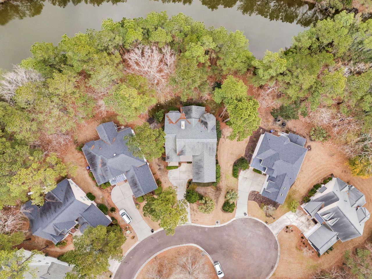 4409 Downing Place Way Photo 49