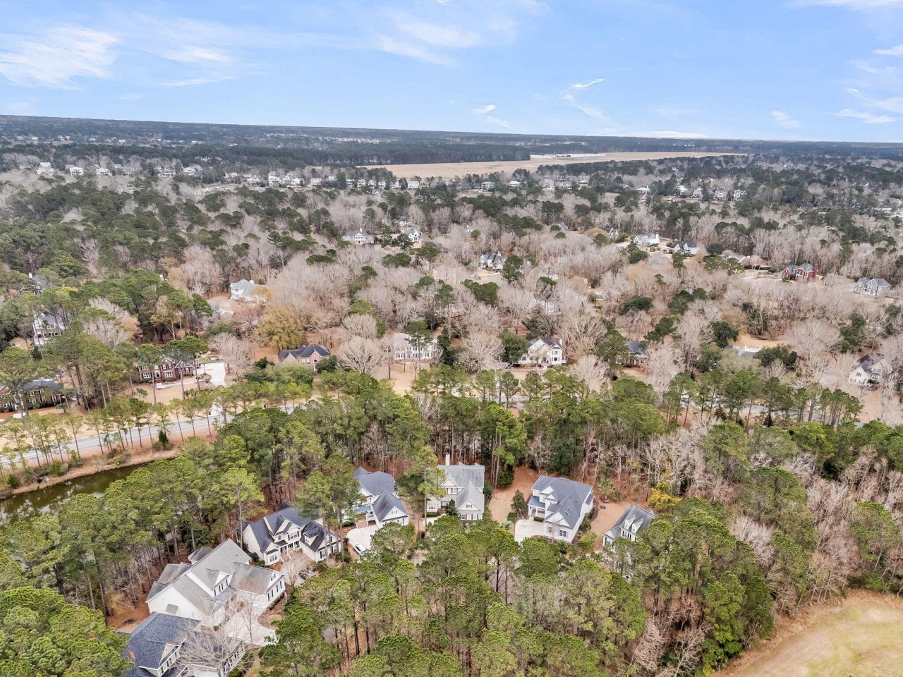 4409 Downing Place Way Photo 51