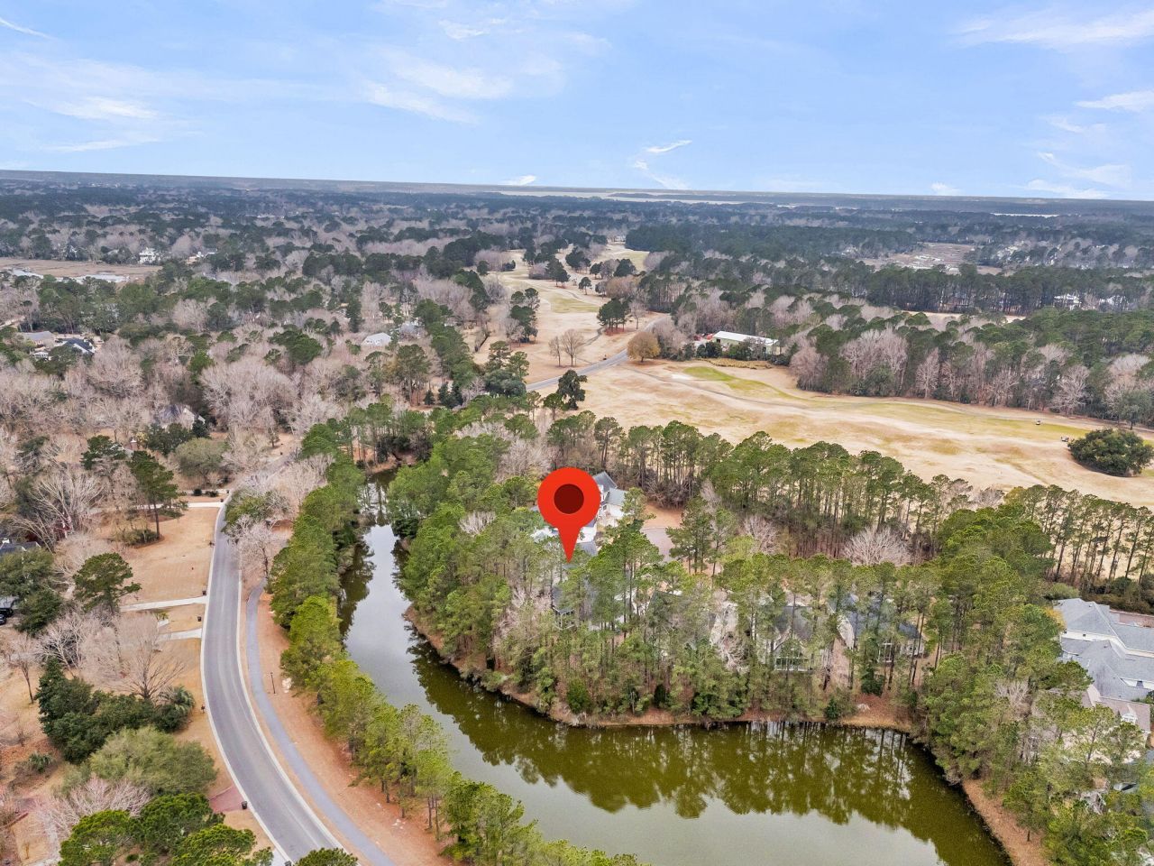 4409 Downing Place Way Photo 53