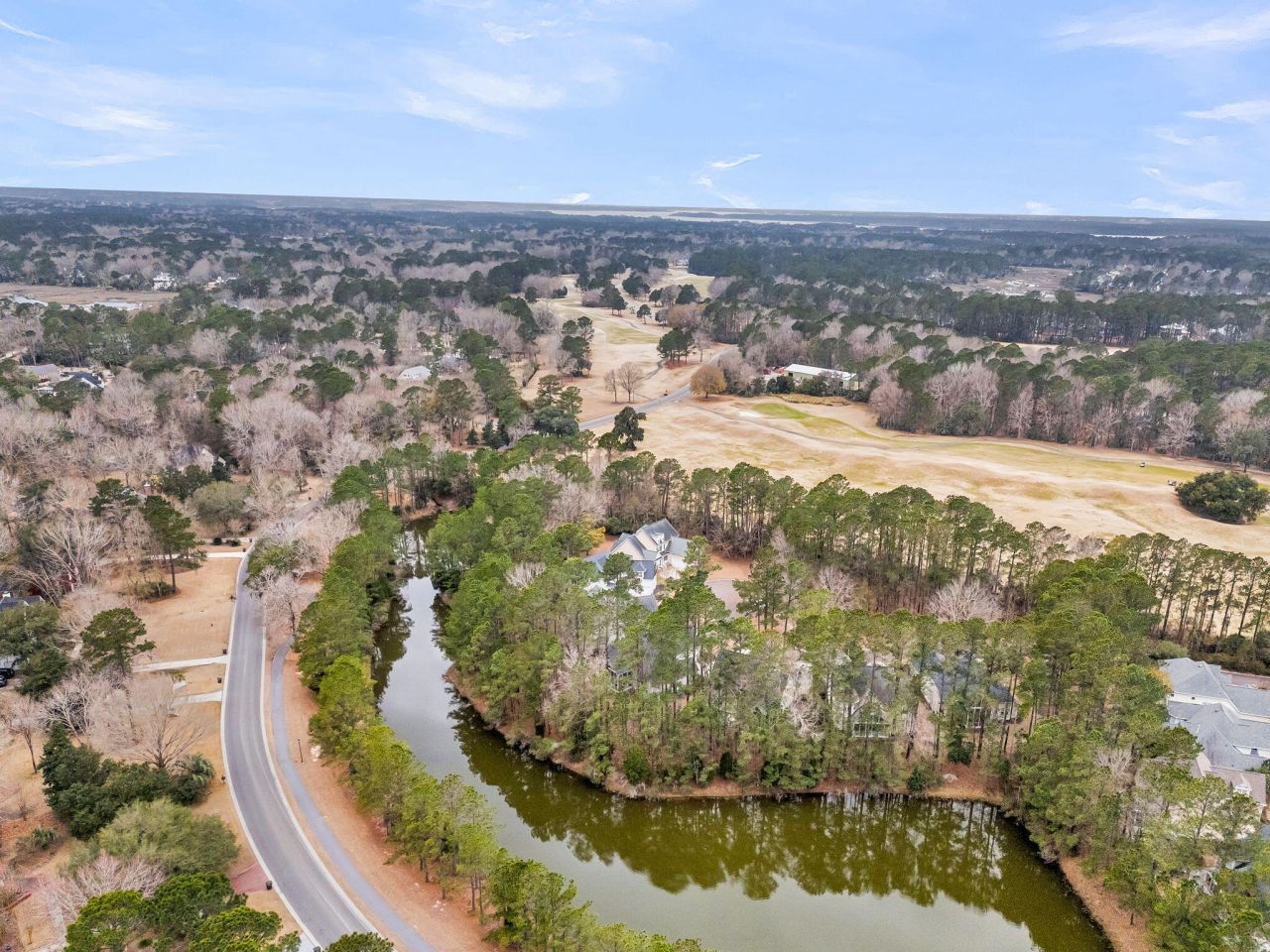 4409 Downing Place Way Photo 54