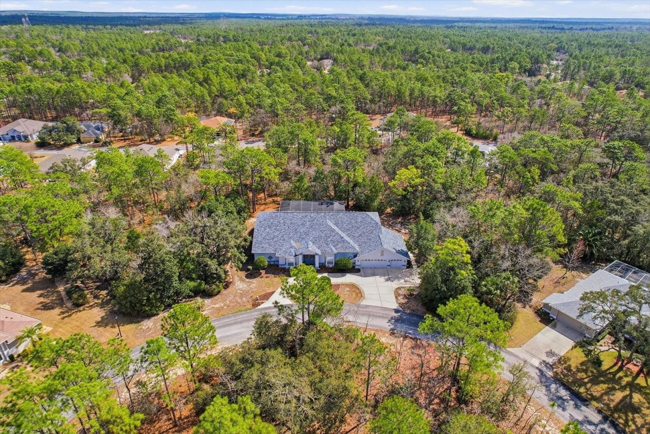 16 Drypetes Court E, Homosassa, FL 34446 Photo