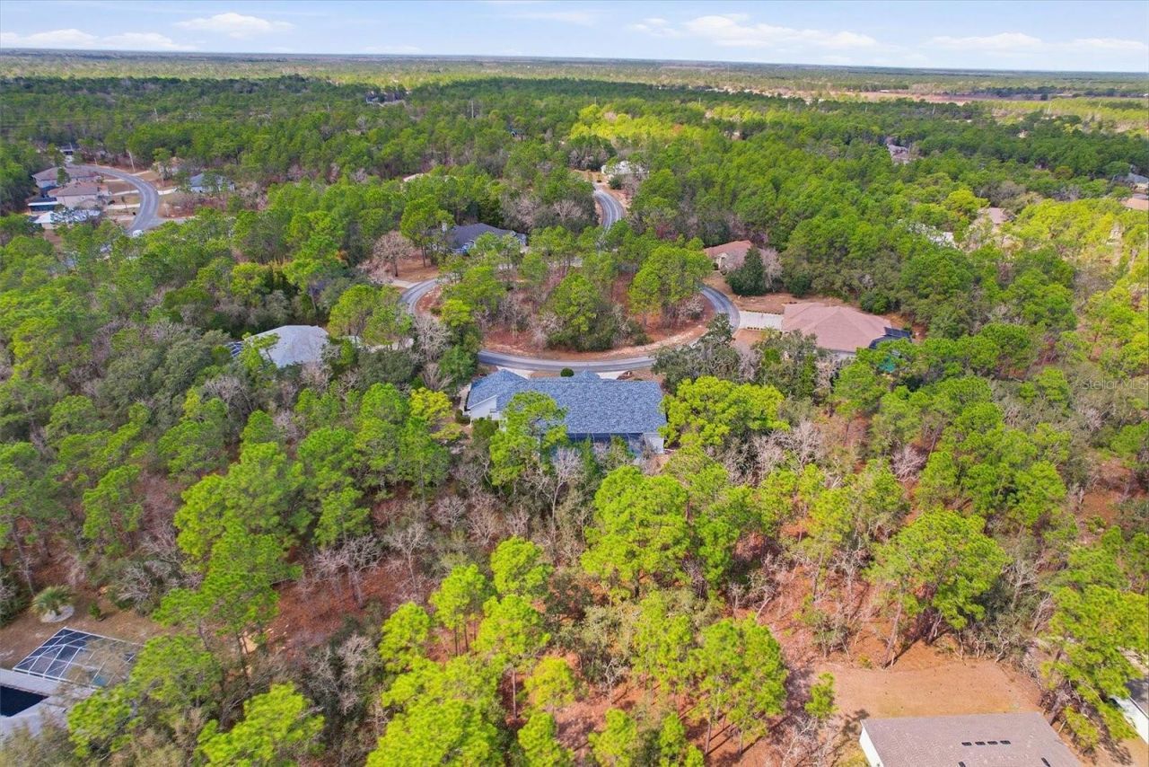 16 Drypetes Court E, Homosassa, FL 34446 Photo