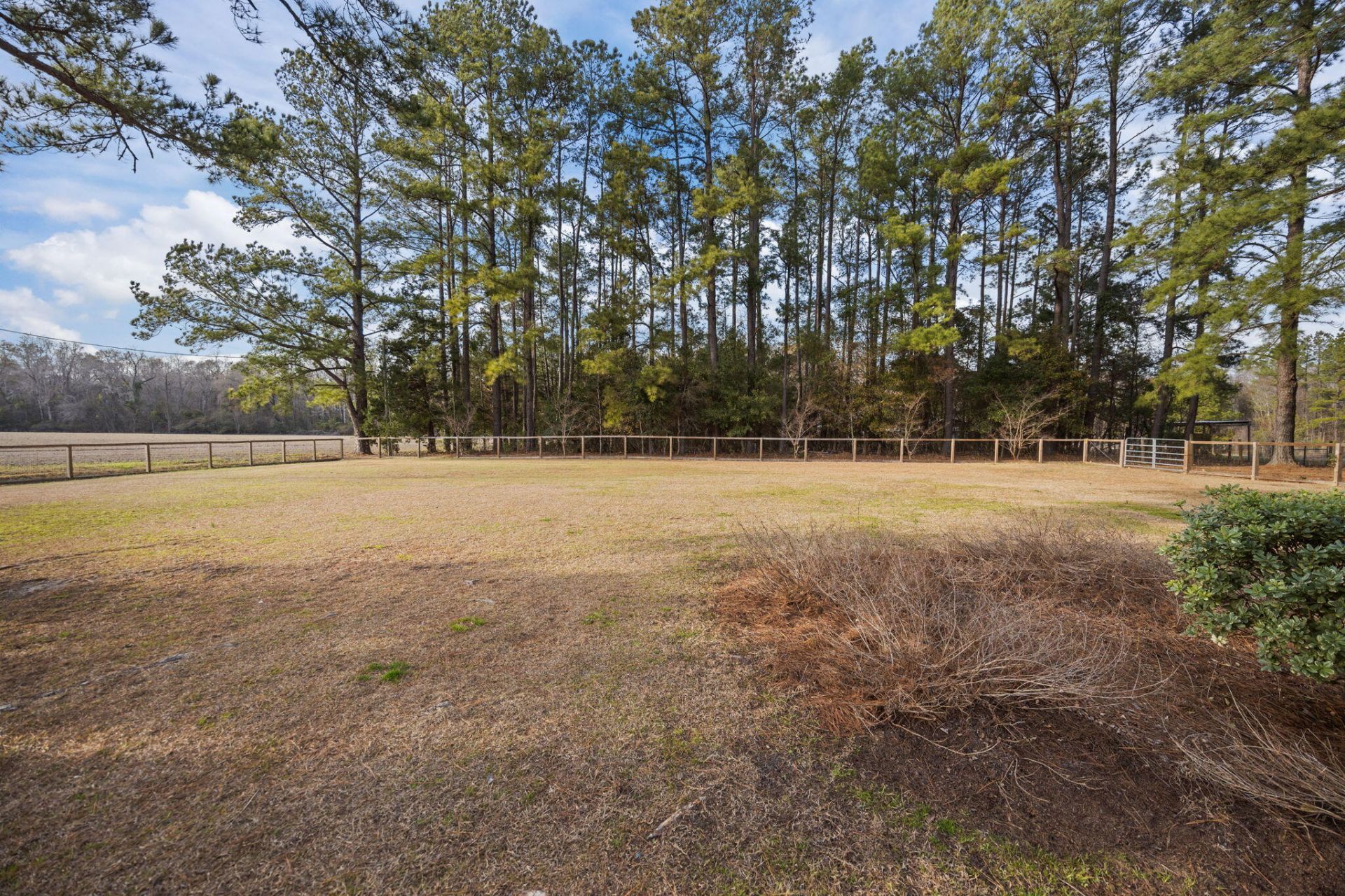 477 Grooms Road Photo 35