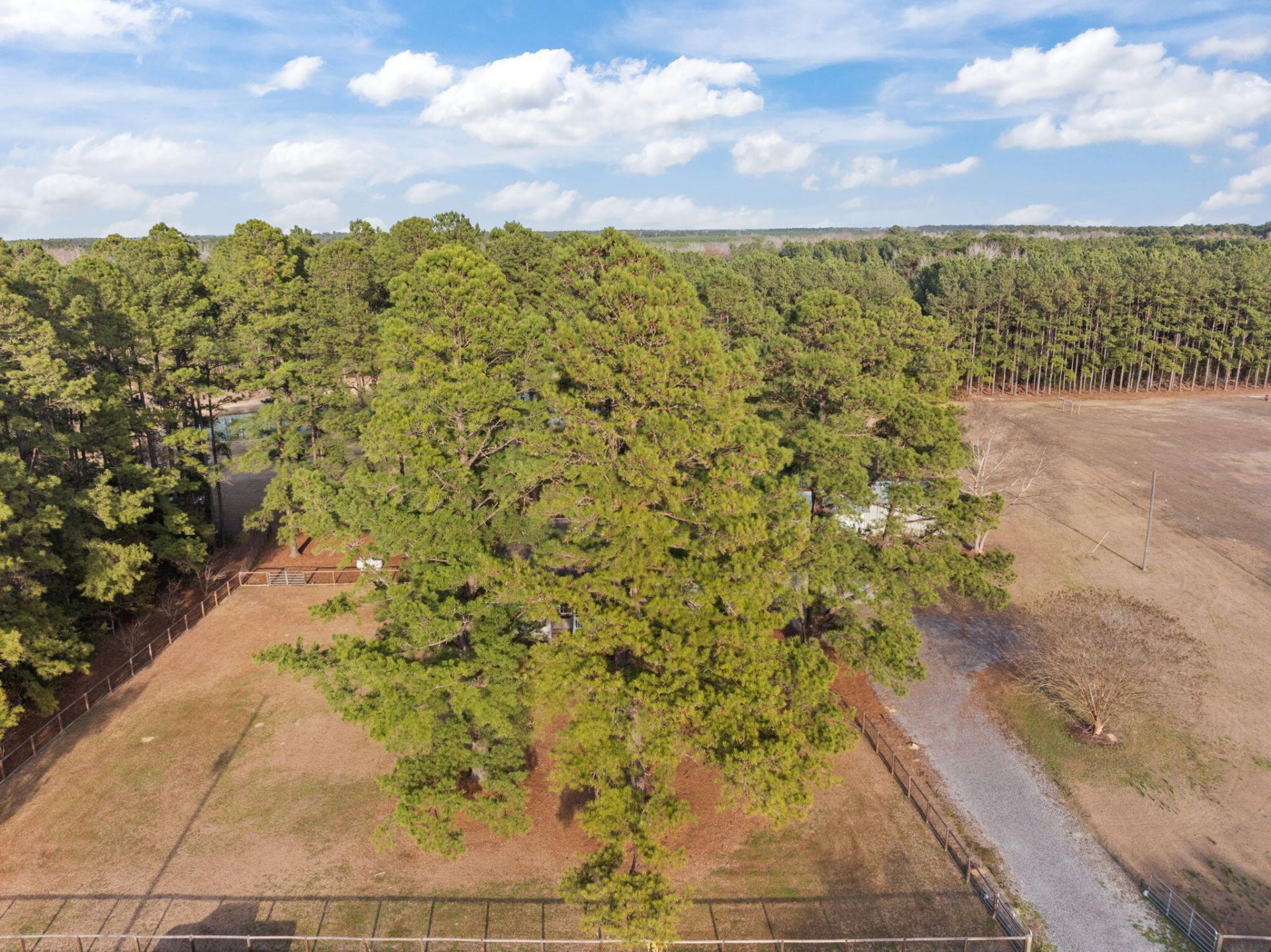 477 Grooms Road Photo 45