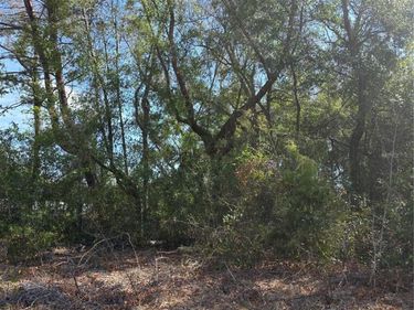 TBD SE 84TH TERRACE, SUMMERFIELD, FL 34491