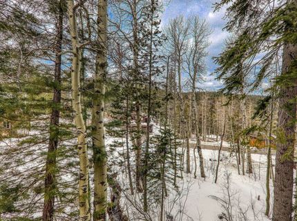 1018 Snow Crest Road, Alpine Meadows, CA 96146 Photo