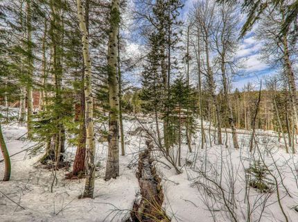 1018 Snow Crest Road, Alpine Meadows, CA 96146 Photo