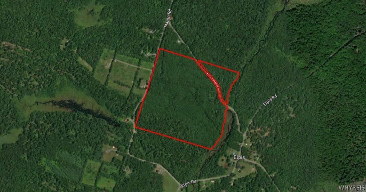 8811 Elwood Road, Cleveland, NY 13042 Main Photo