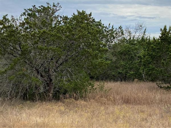 36064 Cedar Ridge Drive , Whitney, TX 76692