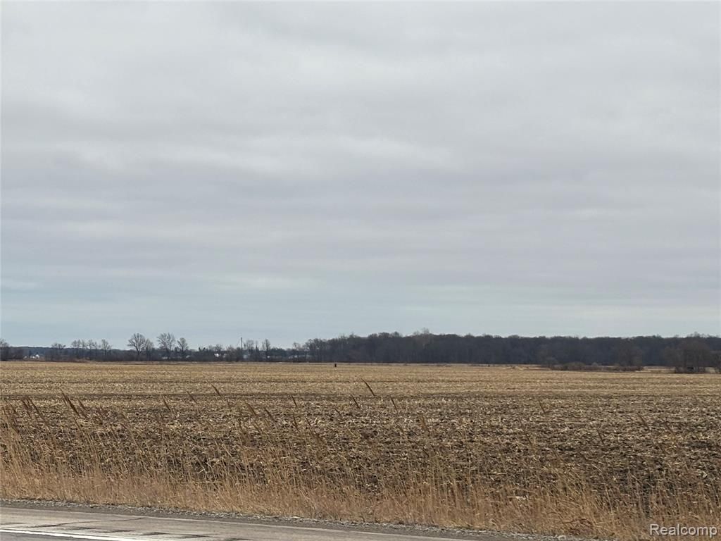 000 S. Custer Road, Raisinville Township, MI 48161 Main Photo