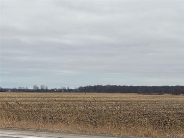 000 S. Custer Road, Raisinville Twp, MI 48161