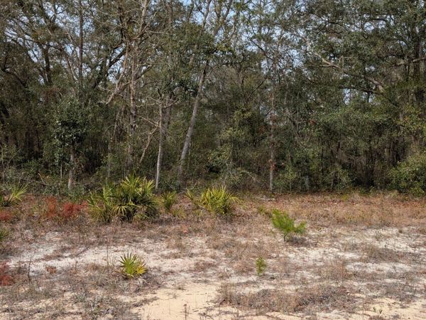 0 DAVID Avenue, Interlachen, FL 32148