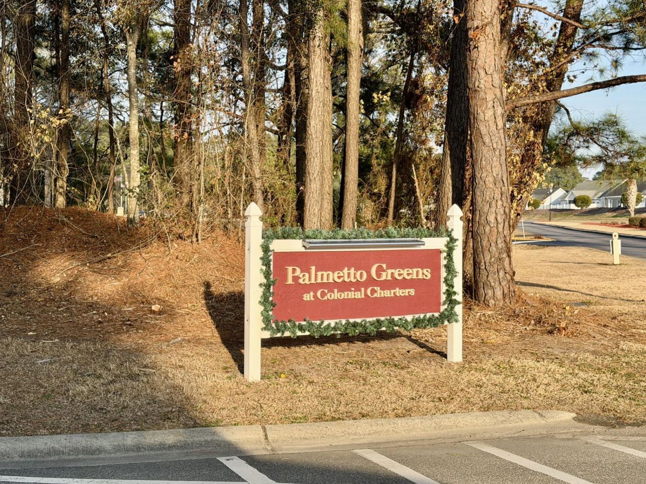 199 Palmetto Green Dr. Photo 37