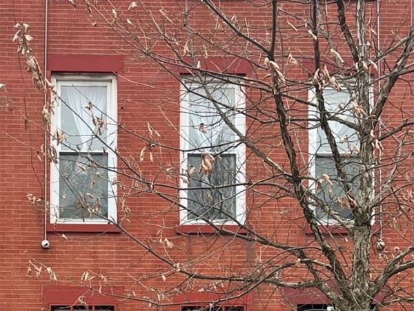 584 Sterling Place , Brooklyn, NY 11238