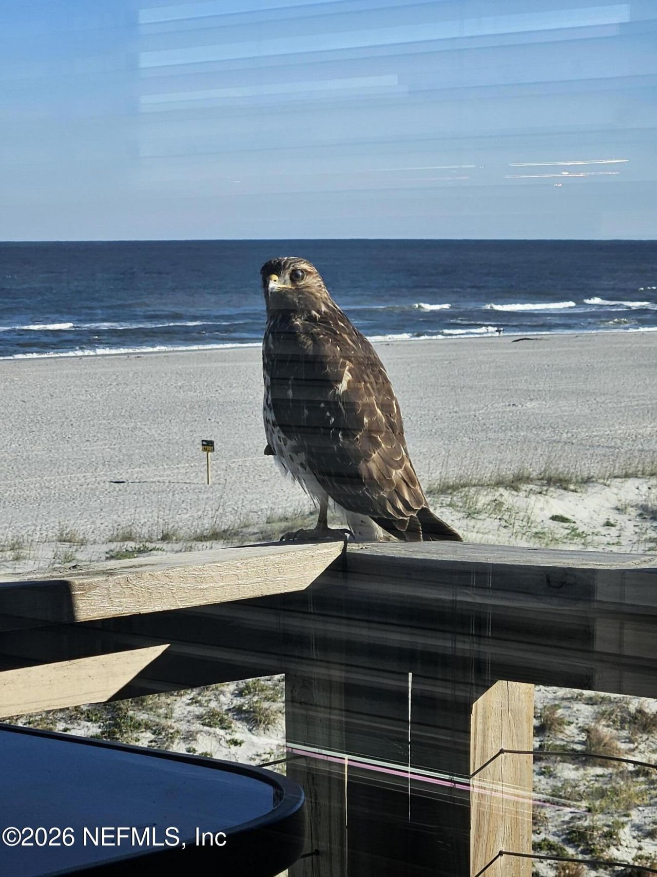 2 10th Street, Unit 6, Saint Augustine Beach, FL 32080 Photo