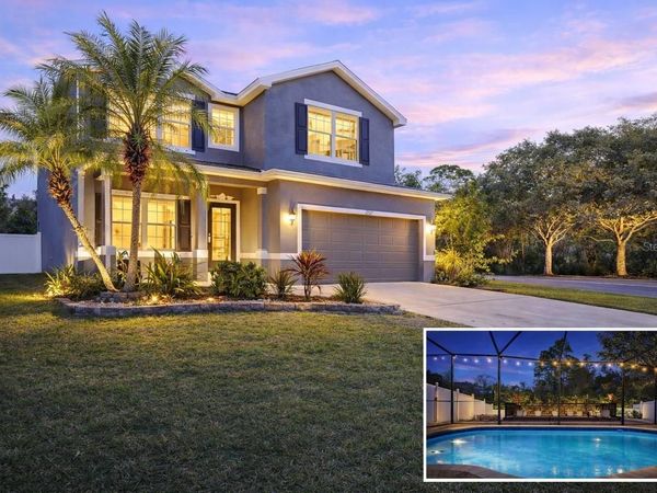 12507 BAY BRANCH COURT, TAMPA, FL 33635