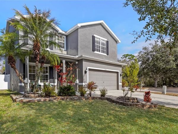 12507 BAY BRANCH COURT, TAMPA, FL 33635