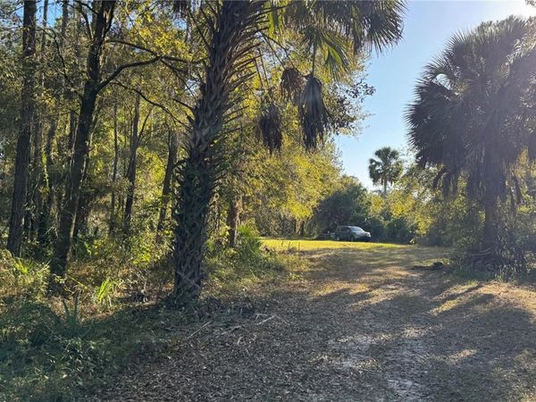 17221 SE 95TH STREET ROAD, OCKLAWAHA, FL 32179