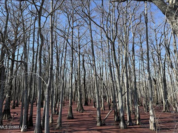 County Road 526, Minter City, MS 38944