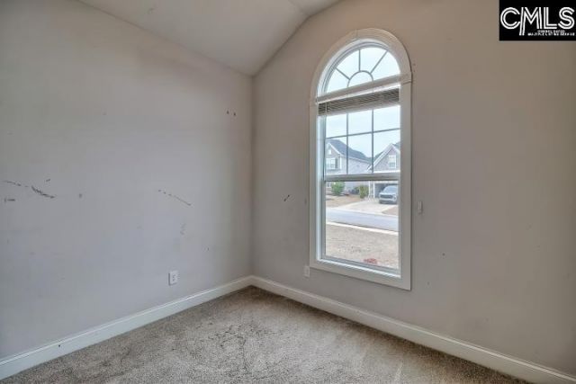 117 Milkweed Road  Photo 25