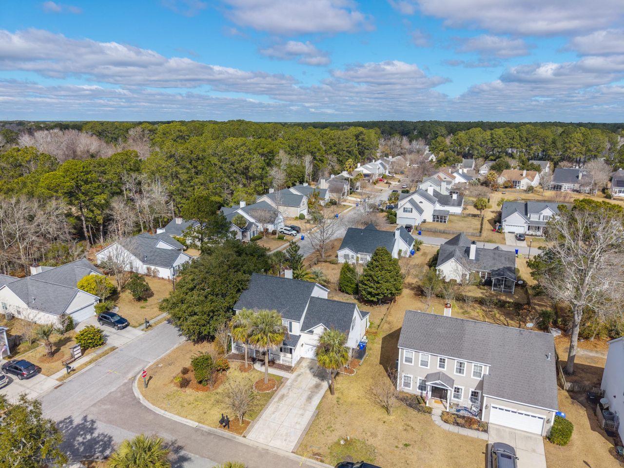 2339 Parsonage Woods Lane Photo 61