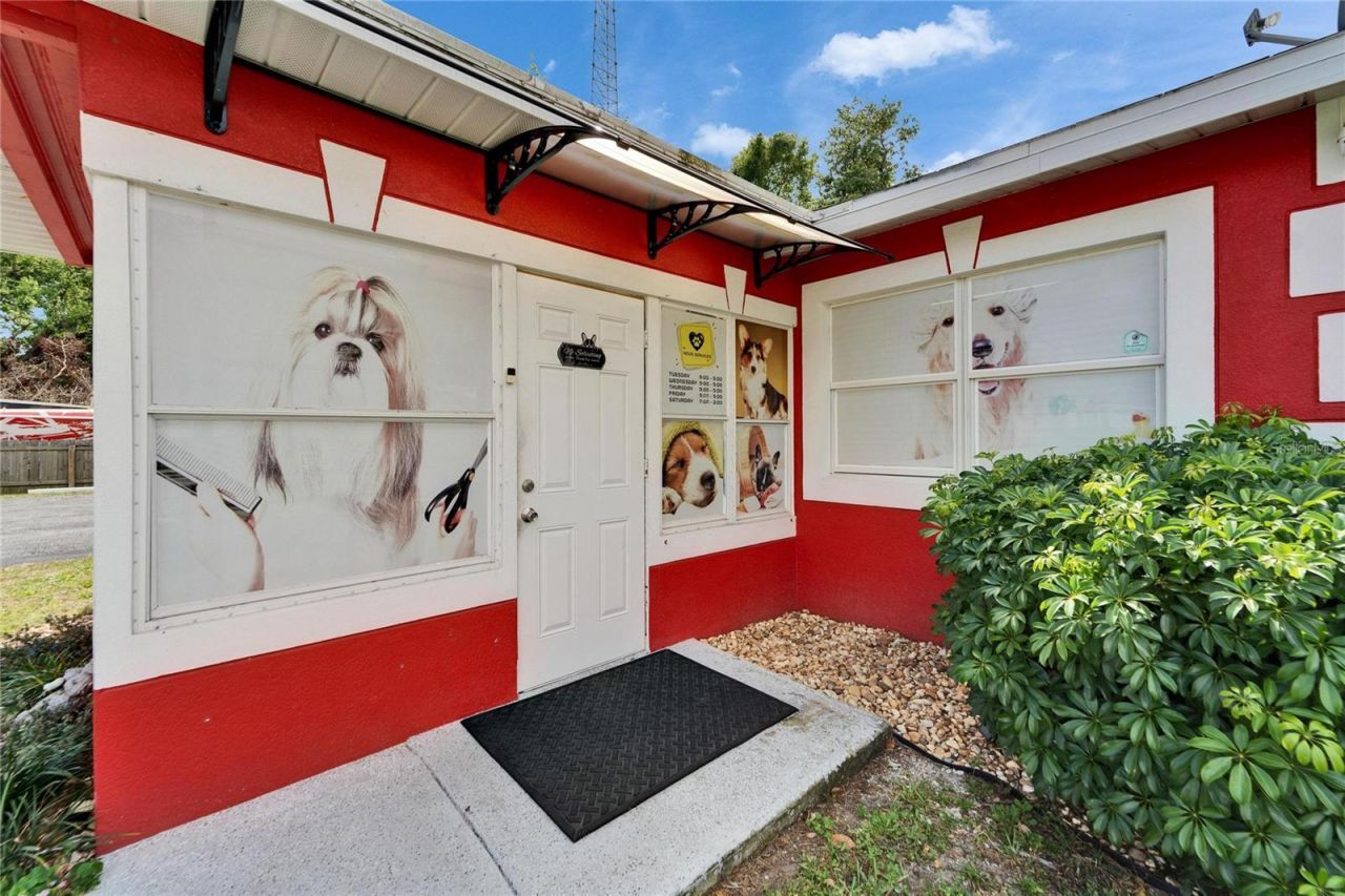 126 Ridgewood Avenue, Brandon, FL 33510 Photo