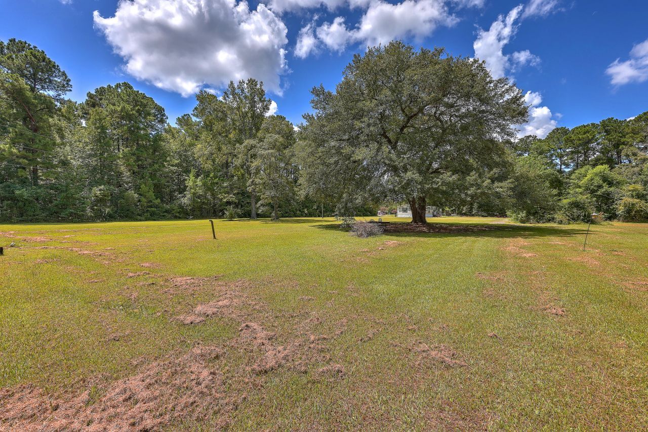 2118 S Live Oak Drive Photo 7