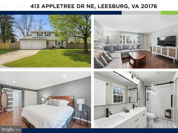413 APPLETREE DRIVE NE, LEESBURG, VA 20176