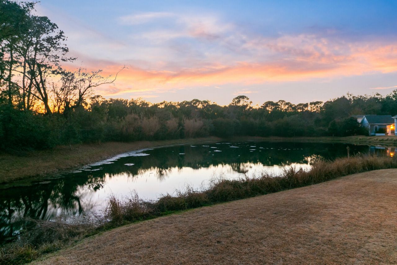 1439 Rivers Cotton Road Photo 53