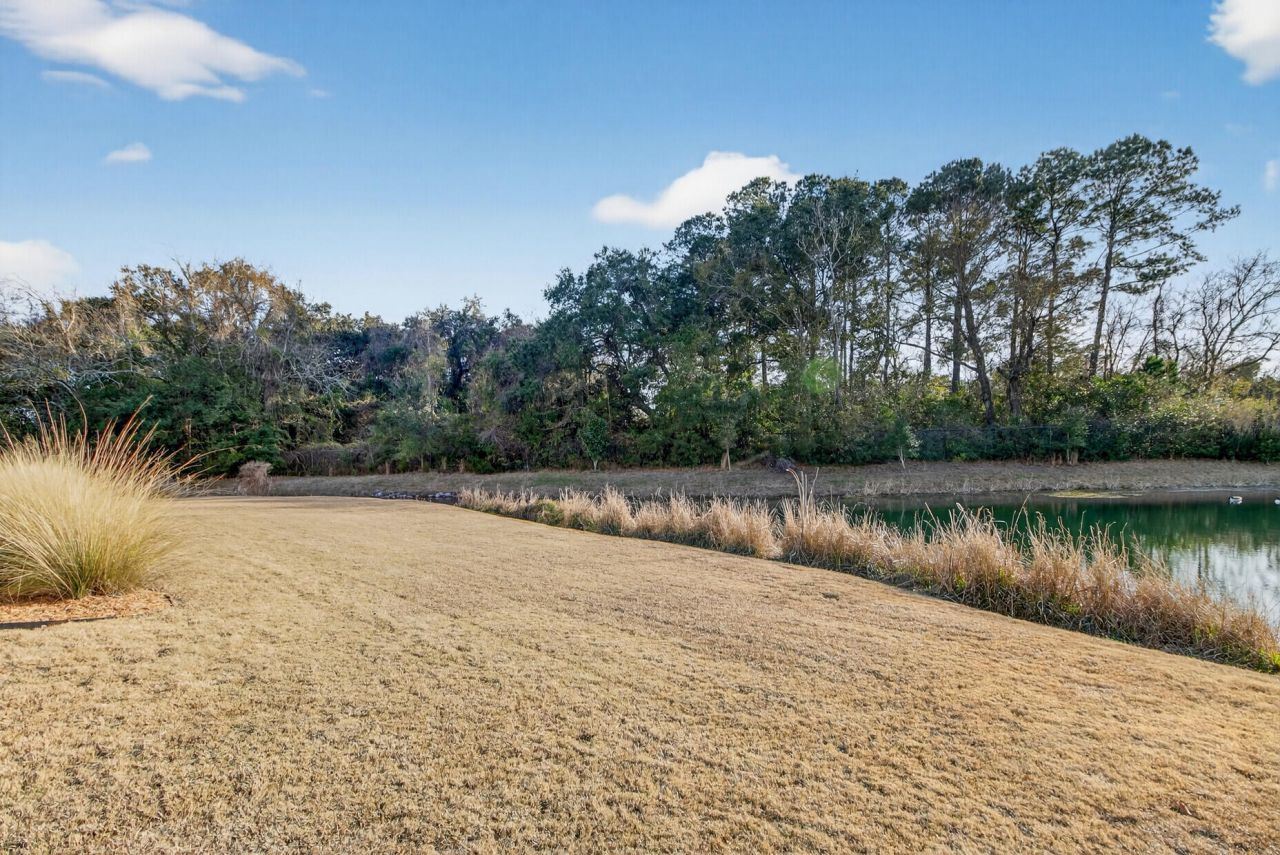 1439 Rivers Cotton Road Photo 58