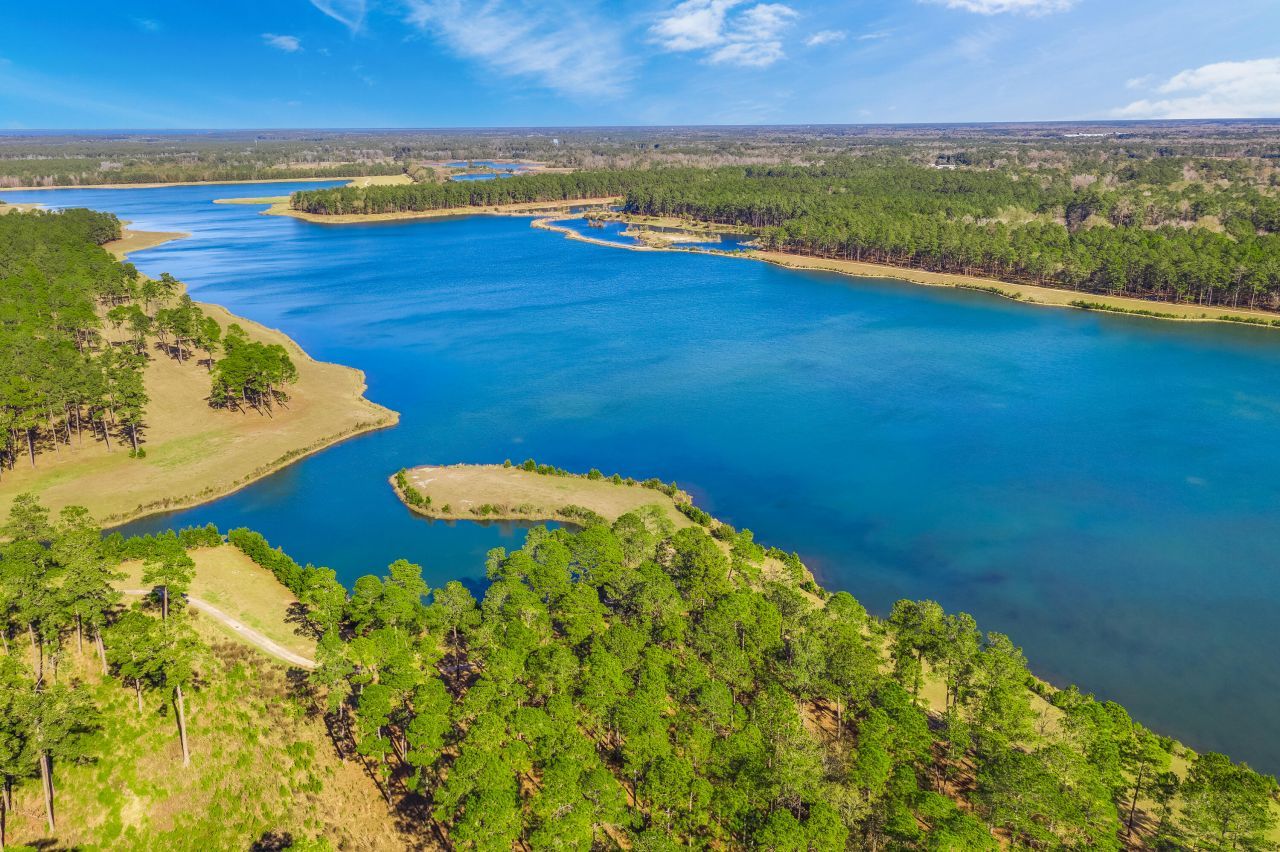 649 Chigwell Springs Lane Photo 63