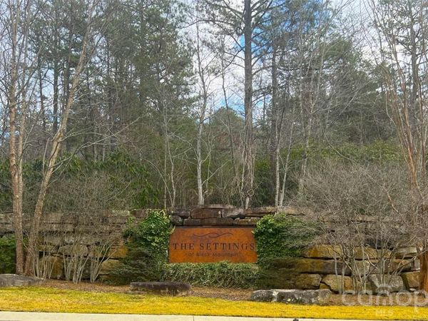 75 Cottage Settings Lane , Black Mountain, NC 28711