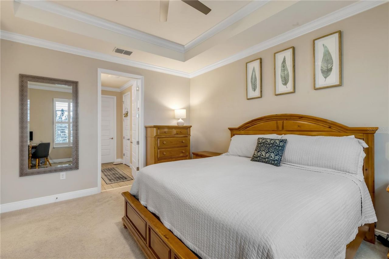 3004 Borassus Drive, New Smyrna Beach, FL 32168 Photo