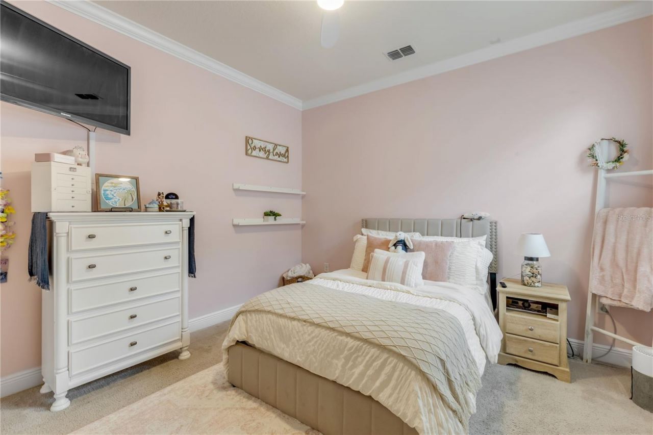 3004 Borassus Drive, New Smyrna Beach, FL 32168 Photo