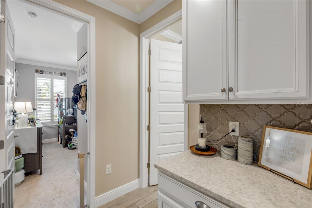 3004 Borassus Drive, New Smyrna Beach, FL 32168 Photo